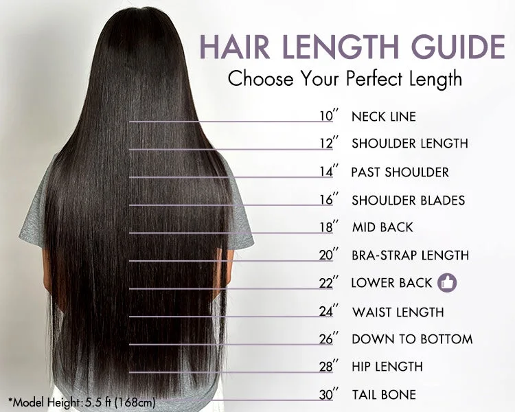 PreMax Wigs | Super Natural Hairline Silky Straight Glueless 13x4 Frontal Lace Wig Human Hair Pre-Cut Lace